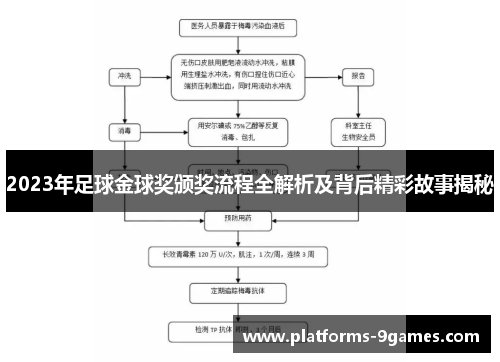 2023年足球金球奖颁奖流程全解析及背后精彩故事揭秘