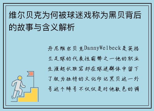 维尔贝克为何被球迷戏称为黑贝背后的故事与含义解析