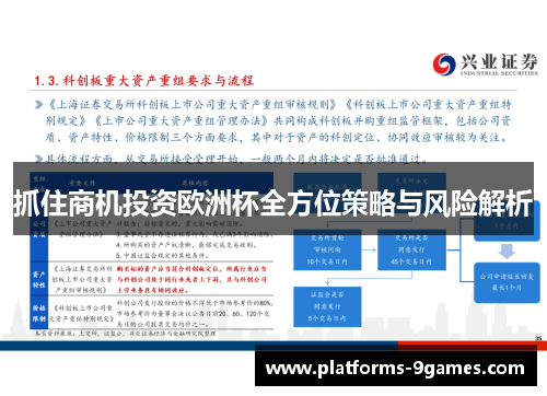 抓住商机投资欧洲杯全方位策略与风险解析